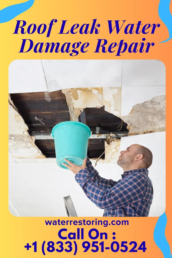Roof Leak Water Damage Repair in Fort Ripley, MN