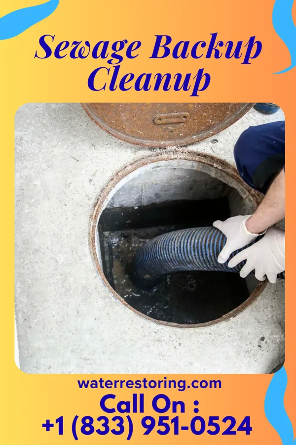 Sewage Backup Cleanup in Fort Ripley, MN
